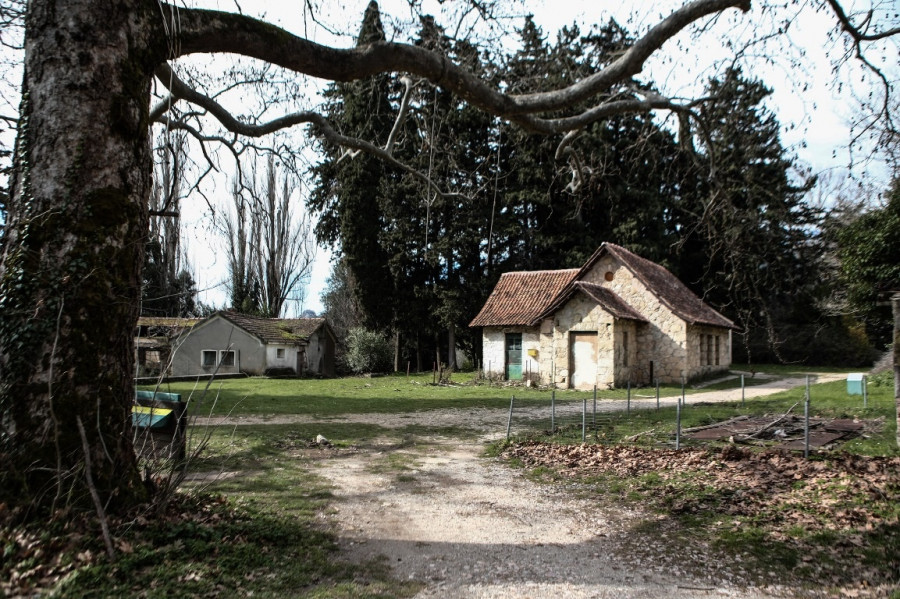 τατόι αφιέρωμα