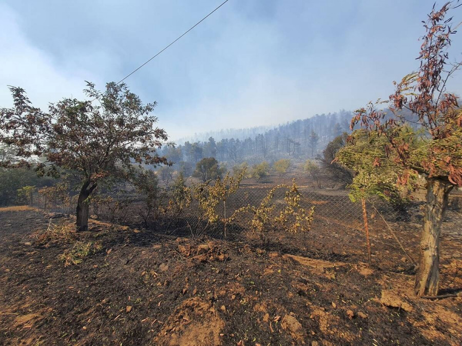 φωτιά στα Βίλια