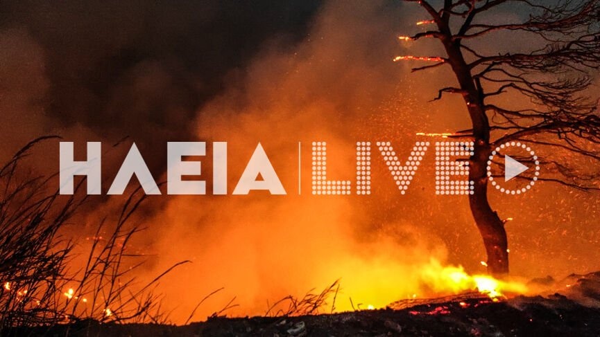 Φωτιά πυρκαγιά