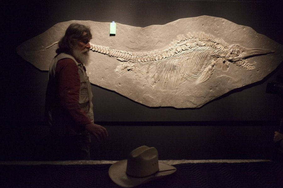 ichhtyosaurus.jpg