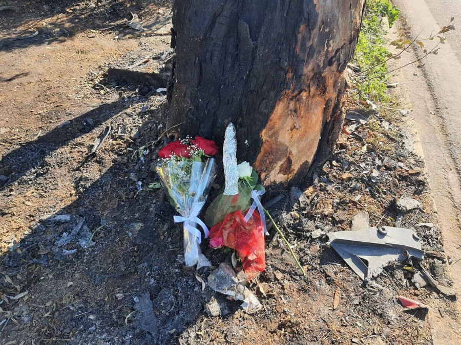 συνεργάτες μονογυιός