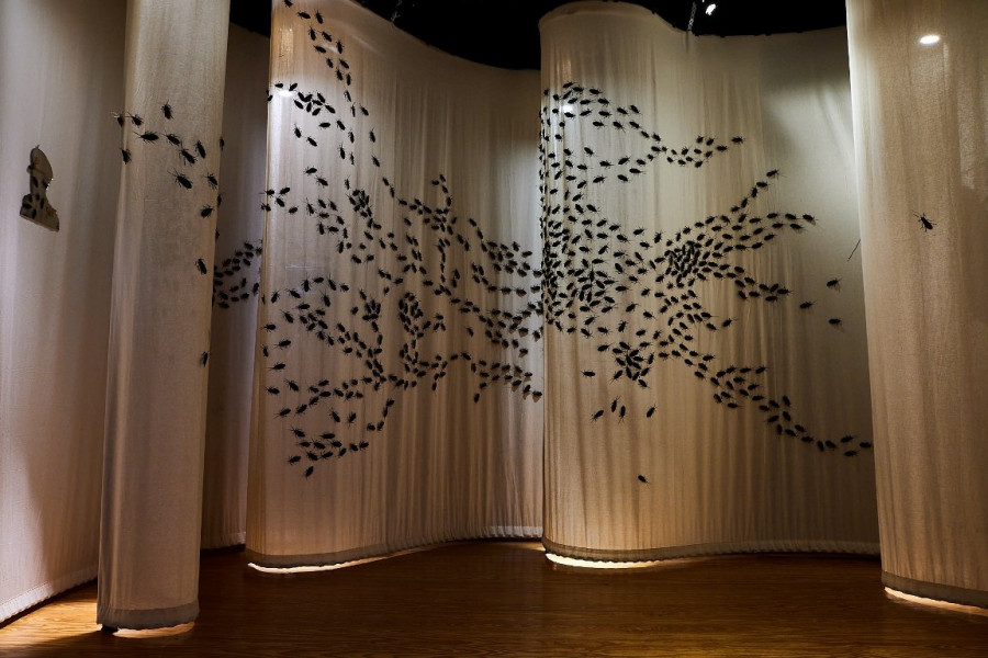 Κατσαρίδες