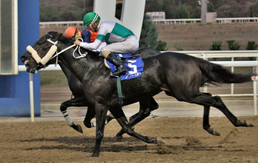 Σκληρή μάχη για την νίκη από τους ΛΟΠΑ (IRE) (πορτοκαλί, μπλε εμφάνιση) και ΡΑΝΙΝΓΚ ΜΠΑΚ (IRE) (πράσινη, άσπρη εμφάνιση))