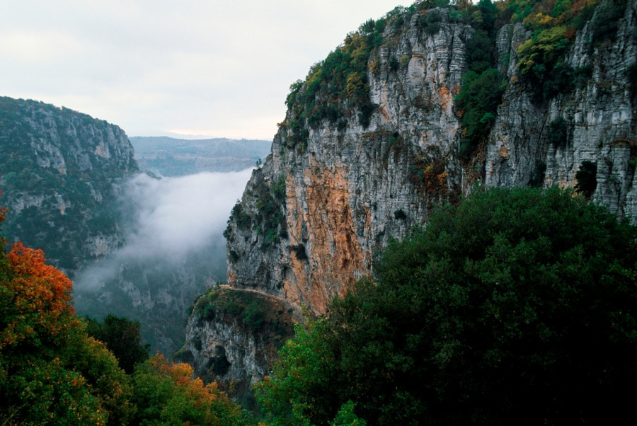 Το φαράγγι του Βίκου