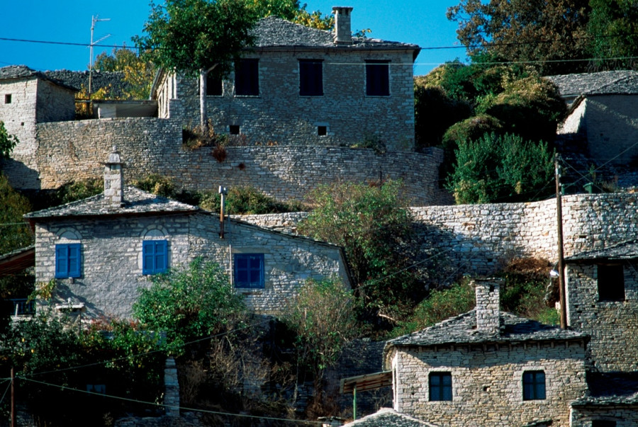 Μονοδένδρι