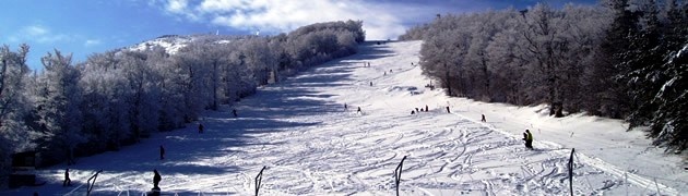 Χιονοδρομικό Κέντρο Λαϊλιά