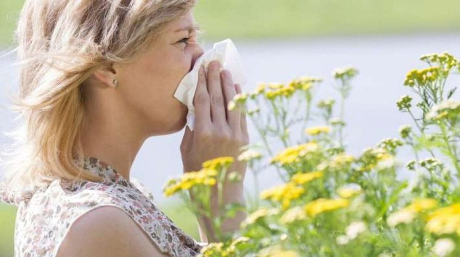 allergies-aitia-symptomata-tropoi-fysikis-antimetopisis-750x400.jpg