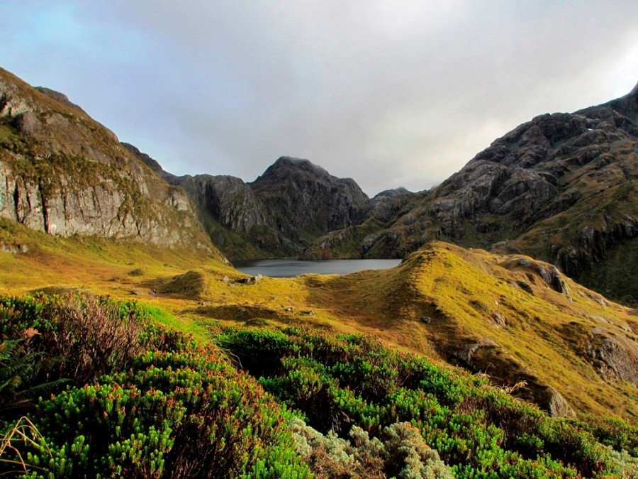 Nέα Ζηλανδία