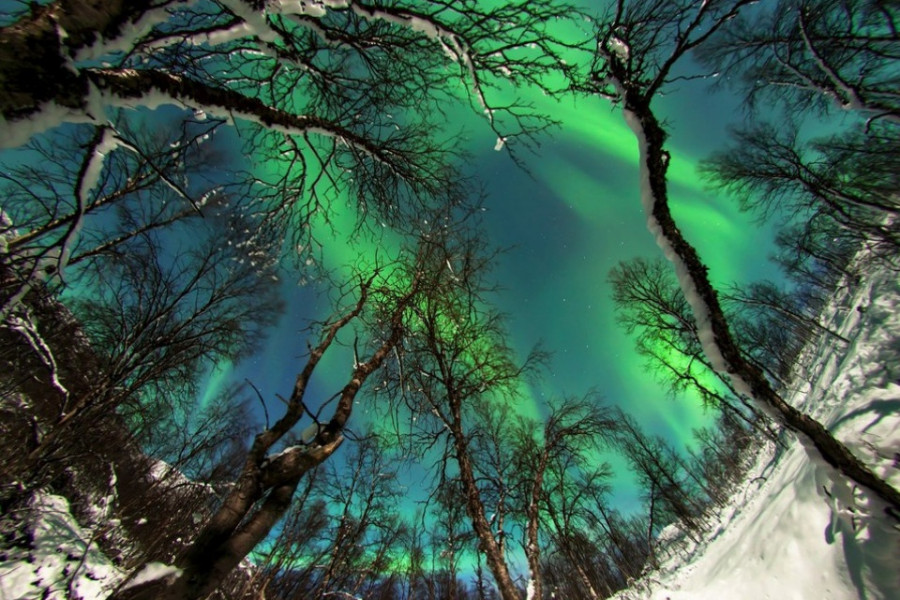 βόρειο σέλας