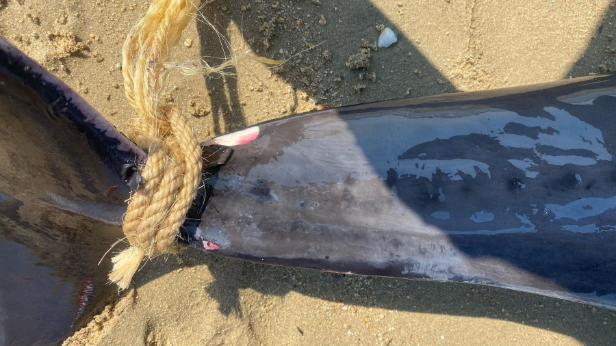 Δεν υπάρχει διαθέσιμη περιγραφή για τη φωτογραφία.