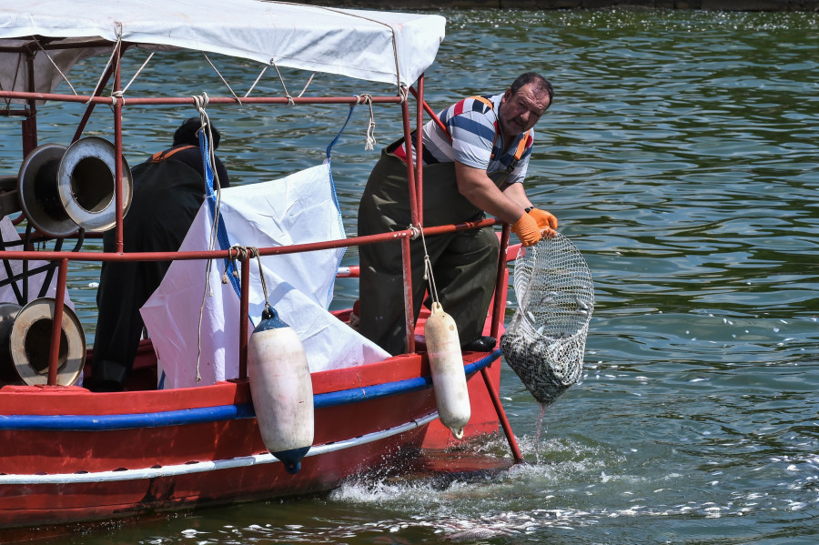 [371462] ÎÎÎÎ¡Î Î¨ÎÎ¡ÎÎ Î£Î¤ÎÎ Î ÎÎ¡ÎÎÎÎ Î¤ÎÎ¥ ÎÎÎÎÎ¥ (ÎÎÎ£ÎÎÎÎ£ ÎÎÎÎÎÎÎÎÎ¥/EUROKINISSI)