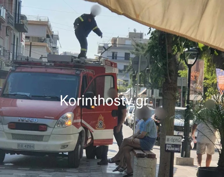 gata-korinthos2.jpg