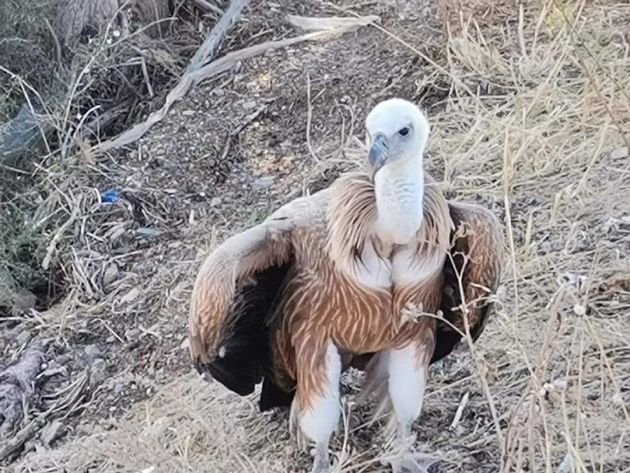 458730099_813719687586312_74197383370882047_n