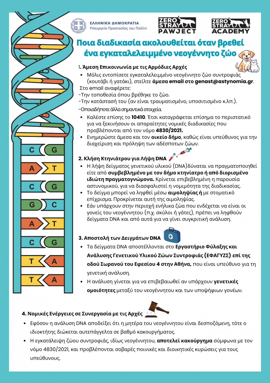 DNA βηματολόγιο A5 - 2