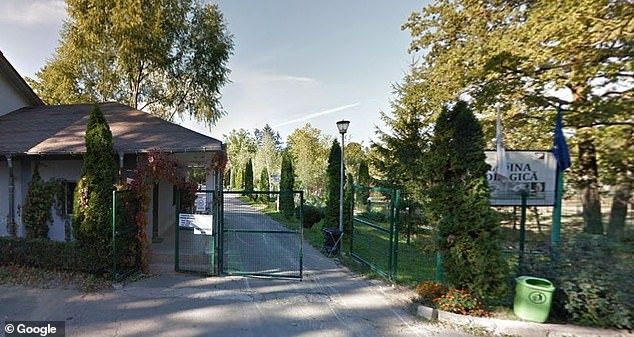 Ο ζωολογικός κήπος, που βρίσκεται 60 μίλια έξω από το Βουκουρέστι, είπε ότι ήταν η πρώτη φορά στην 50χρονη ιστορία του που συνέβη ένα τέτοιο περιστατικό