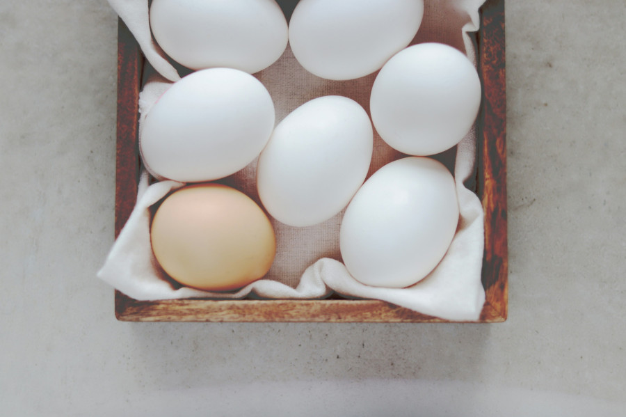 eggs.jpg