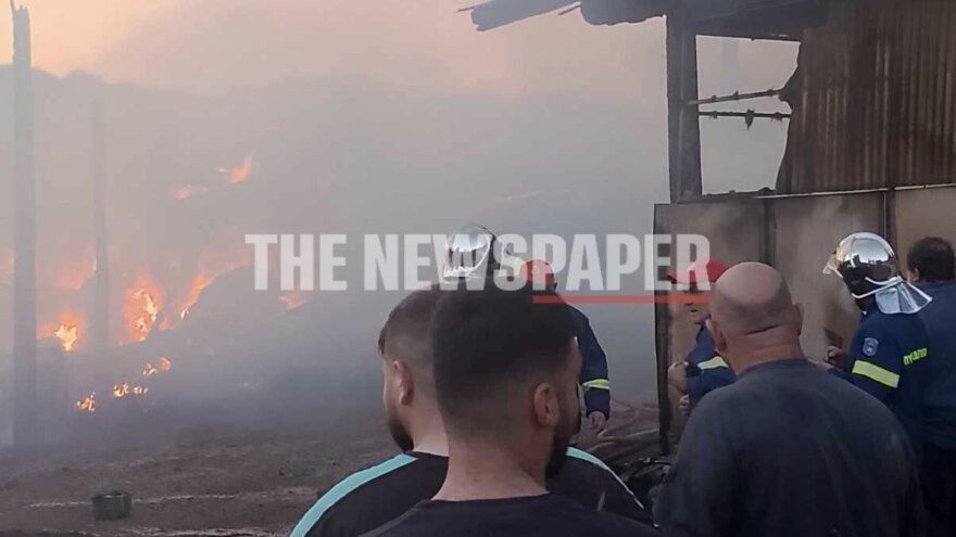 Φωτιά σε κτηνοτροφική μονάδα στον Αλμυρό - Δείτε φωτογραφίες