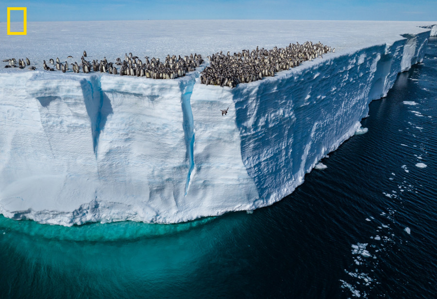 Antarctica-11.jpg