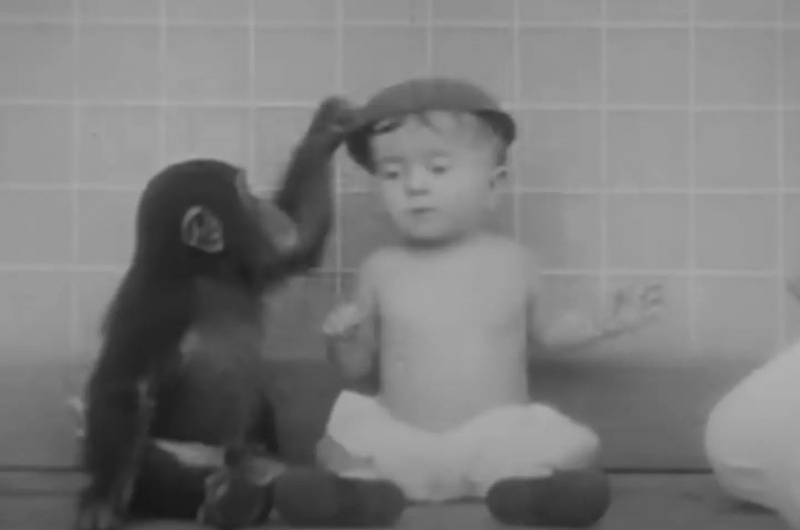 Gua and Donald were raised as siblings (YouTube/AV Geeks)