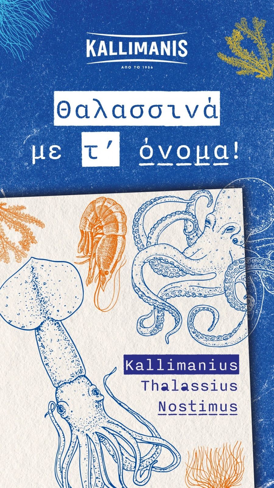 25-00072-KALLIMANIS_KATEPSYGMENA_1955_KeyVisual_CMYK