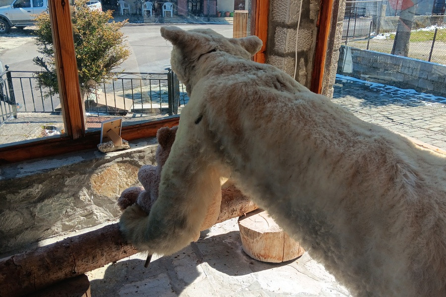 ΜΗΛΙΑ ΜΕΤΣΟΒΟΥ