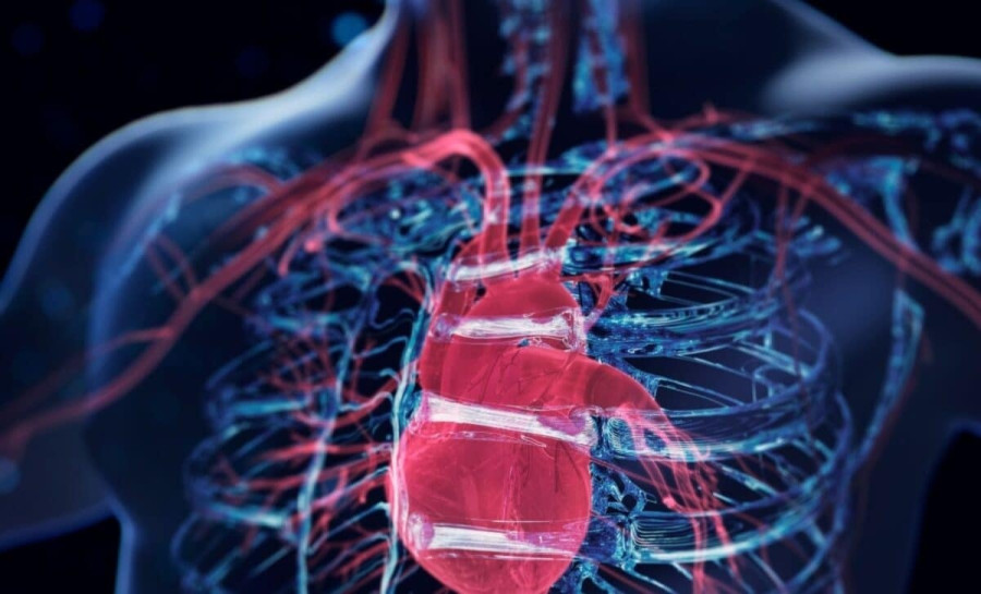 Design sans titre - 1