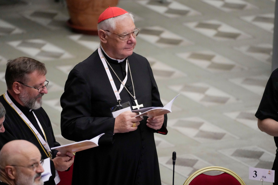 Gerhard Ludwig Müller 