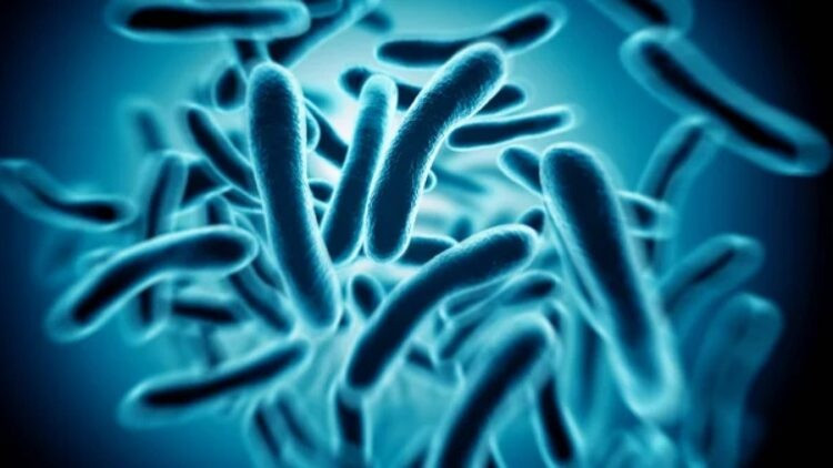 China-unveils-a-bacteria-powered-battery-750x422.jpg