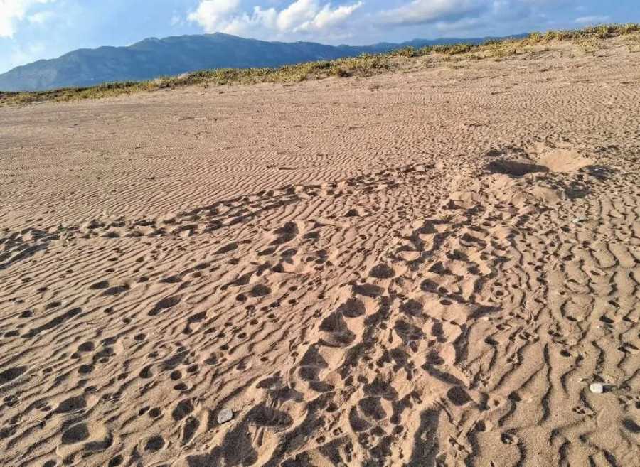 500932846_29928449206770956_3998885486030903753_n