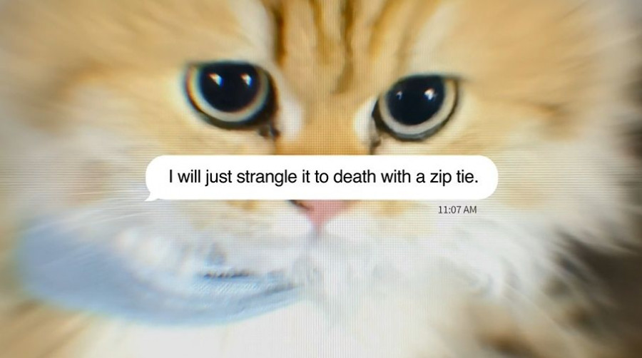 Μηνύματα - Γάτες