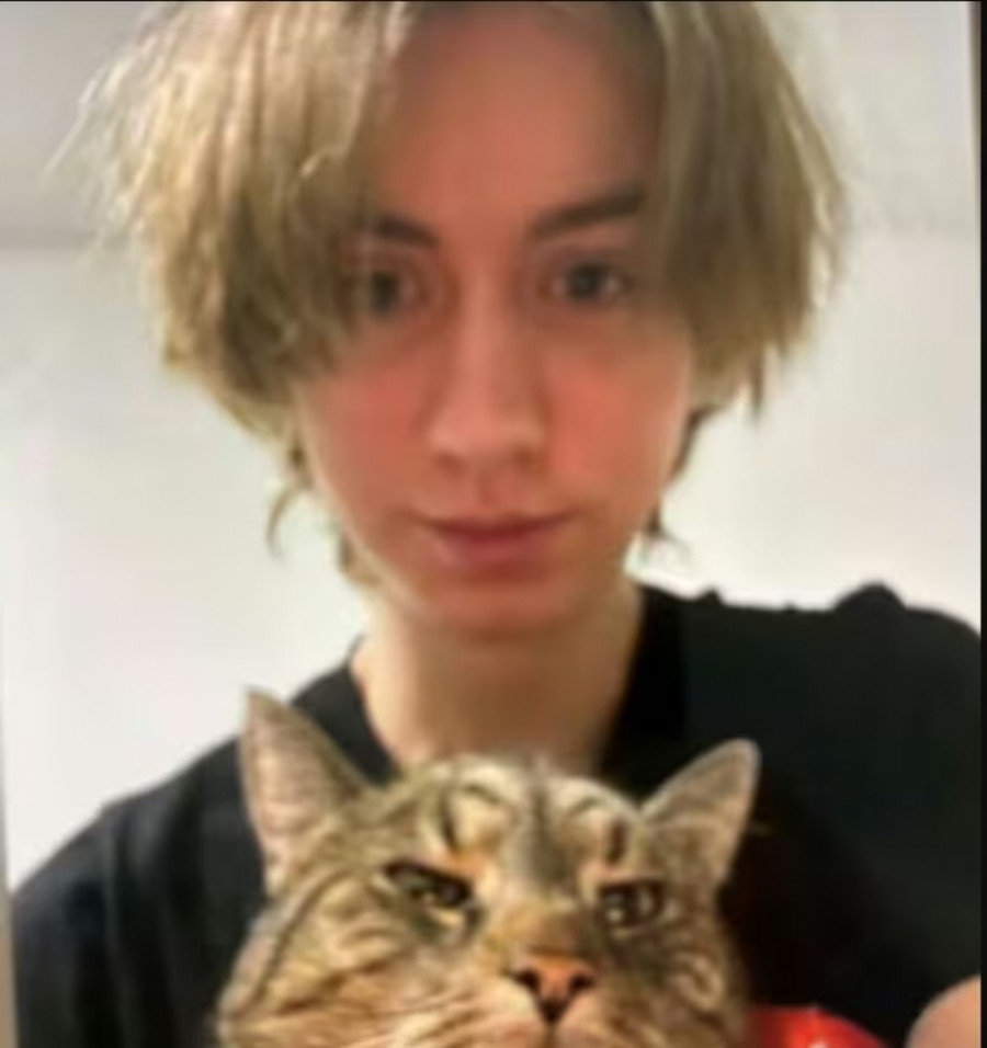 Αυστρία - Δράστης