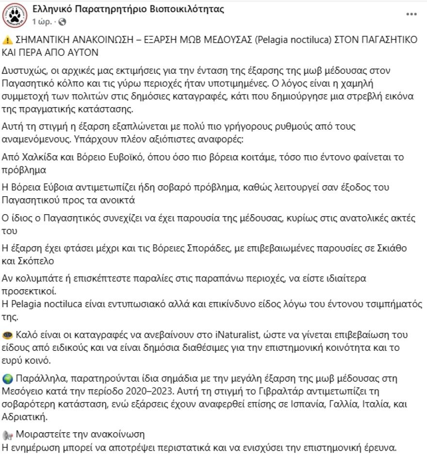 Σε έξαρση οι μωβ μέδουσες στις ελληνικές θάλασσες - Οι περιοχές που έχουν σοβαρό πρόβλημα