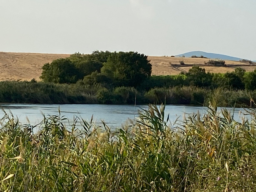 img1329.jpg
