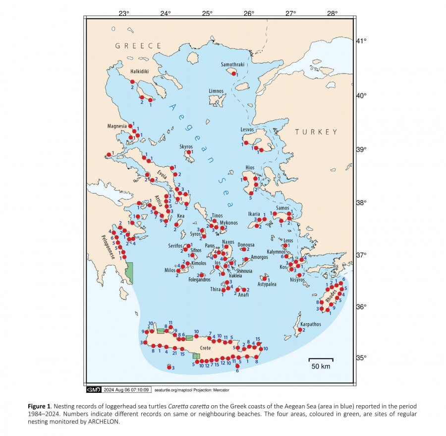 χάρτης