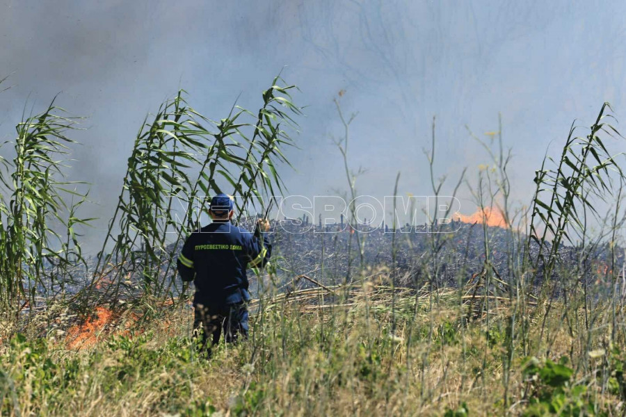 φωτιά-ραφήνα