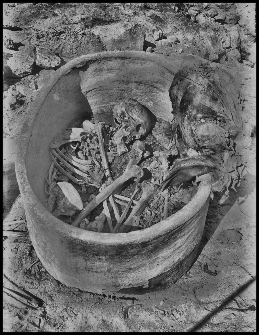 Αρχαία Αίγυπτος - DNA