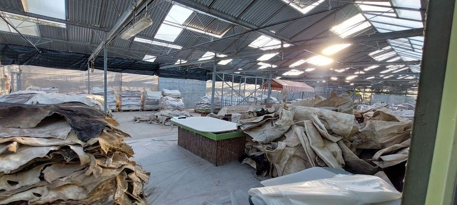 ΕΞΑΡΘΡΩΣΗ ΕΓΚΛΗΜΑΤΙΚΗΣ ΟΡΓΑΝΩΣΗΣ ΠΟΥ ΧΡΗΣΙΜΟΠΟΙΟΥΣΕ ΜΕΘΟΔΟ ΕΜΠΟΤΙΣΜΟΥ ΔΕΡΜΑΤΩΝ ΒΟΟΕΙΔΩΝ ΜΕ ΚΟΚΑΪΝΗ