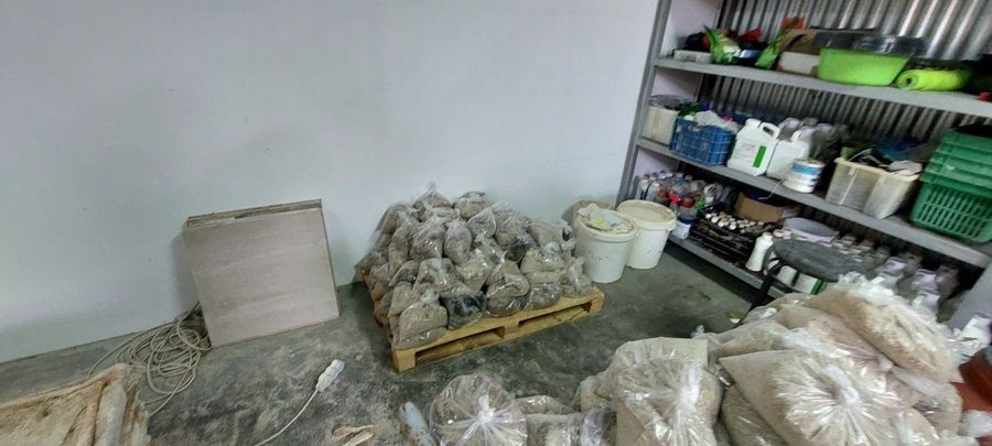 ΕΞΑΡΘΡΩΣΗ ΕΓΚΛΗΜΑΤΙΚΗΣ ΟΡΓΑΝΩΣΗΣ ΠΟΥ ΧΡΗΣΙΜΟΠΟΙΟΥΣΕ ΜΕΘΟΔΟ ΕΜΠΟΤΙΣΜΟΥ ΔΕΡΜΑΤΩΝ ΒΟΟΕΙΔΩΝ ΜΕ ΚΟΚΑΪΝΗ