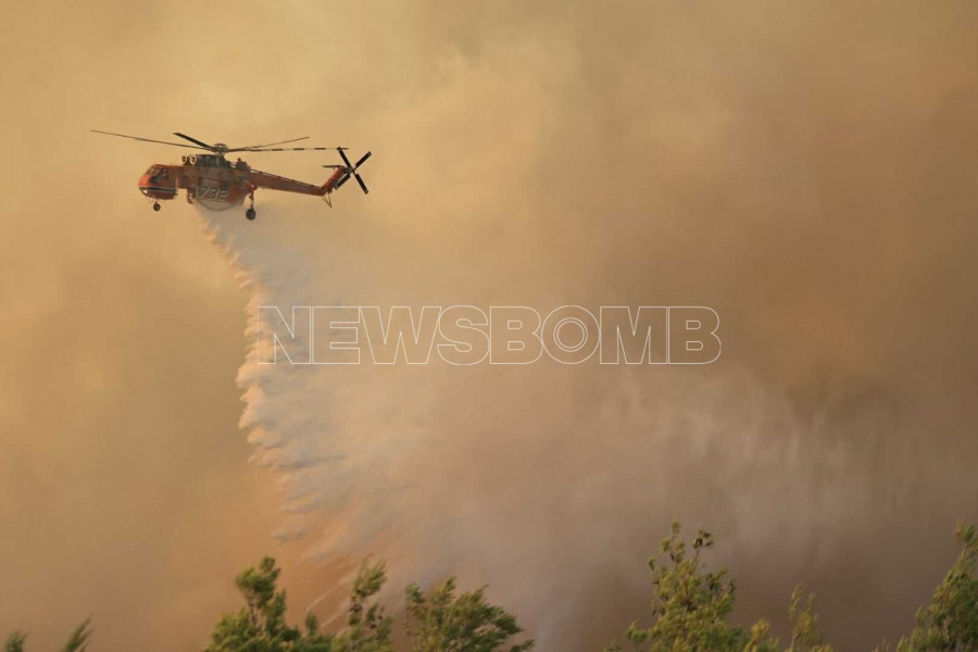 Φωτιά Ωρωπός