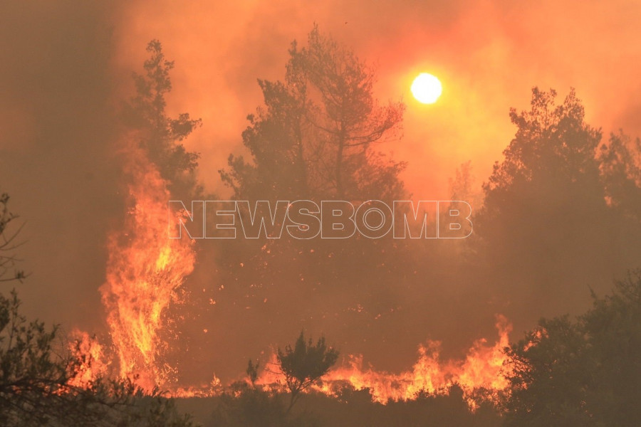 Φωτιά Ωρωπός