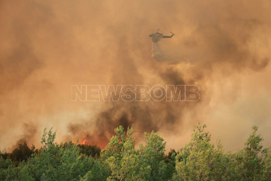 Φωτιά Ωρωπός