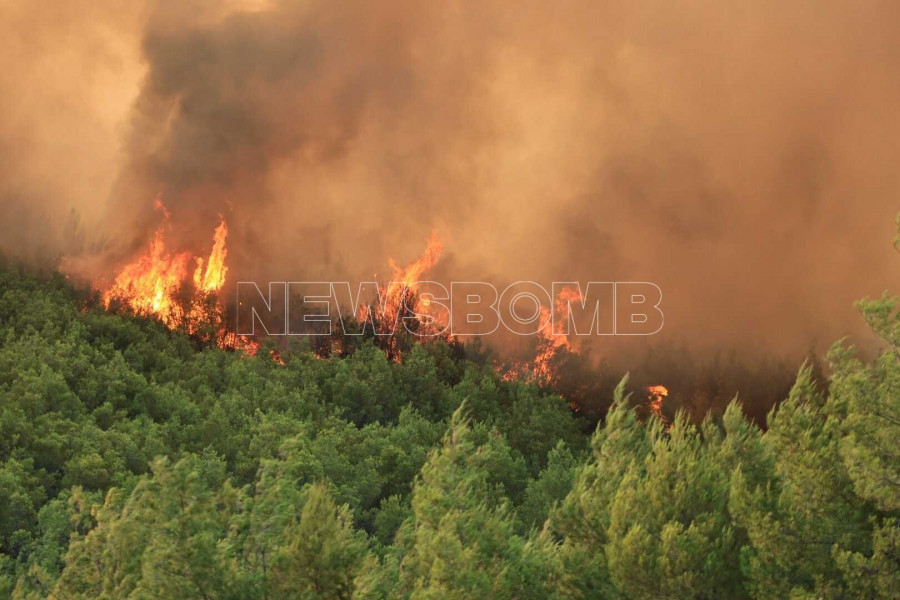 Φωτιά Ωρωπός