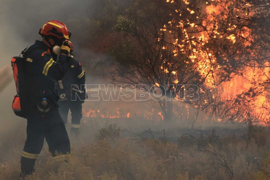 Ωρωπός - Πυροσβεστική