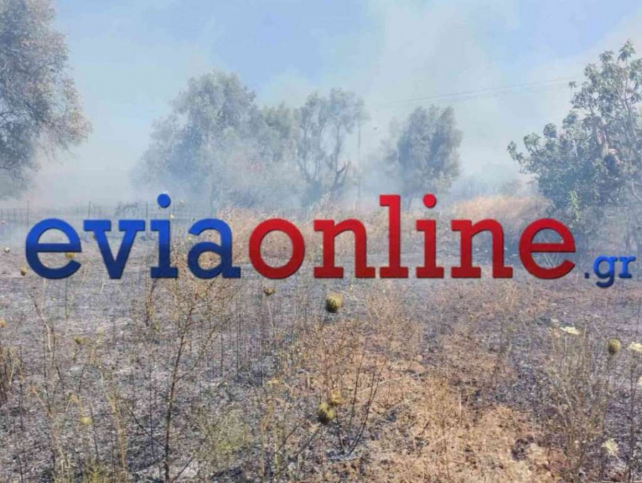 Φωτιά Αλιβέρι