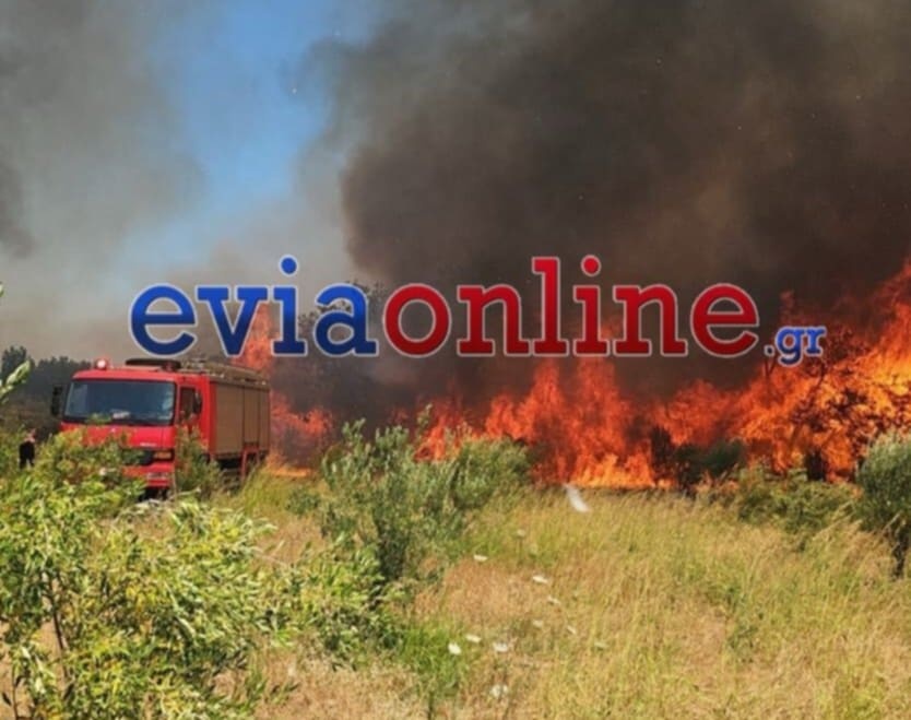 fotia-evia.jpg
