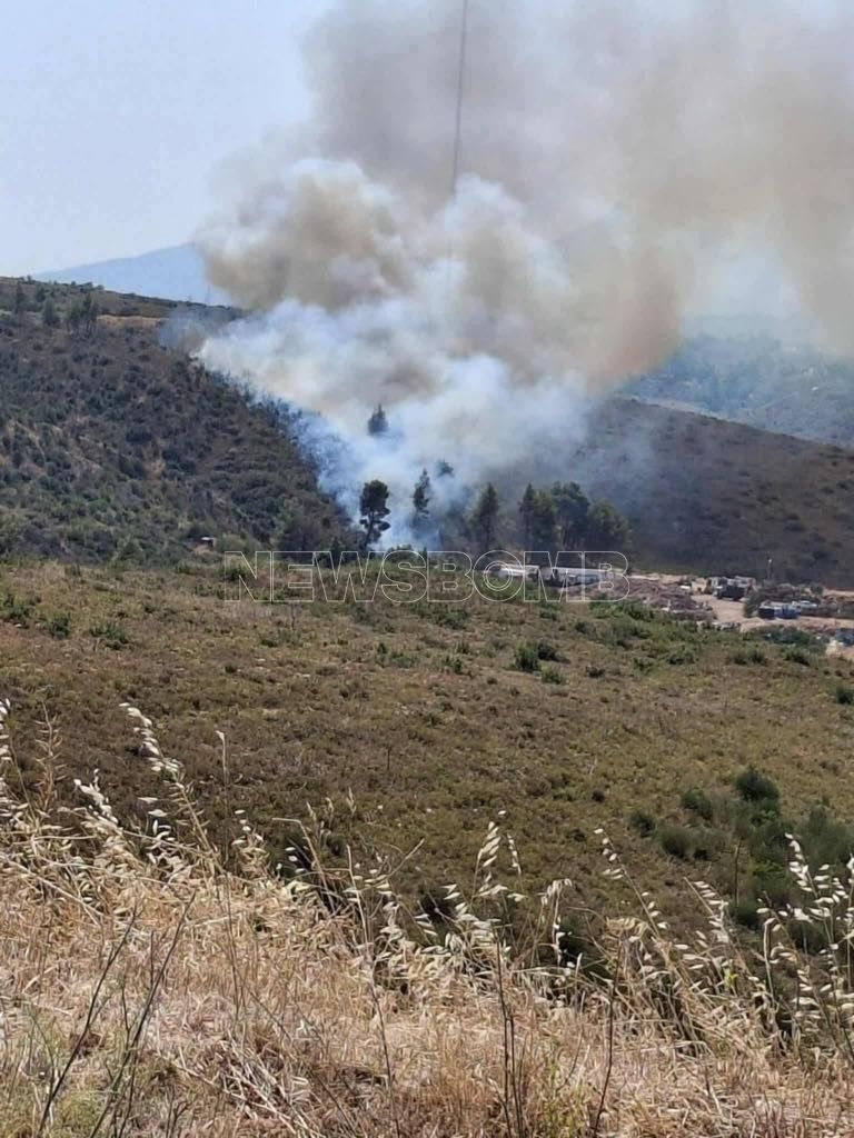 Φωτιά Σταμάτα