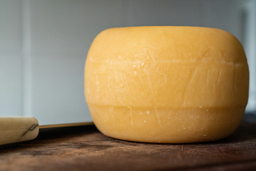 edam.