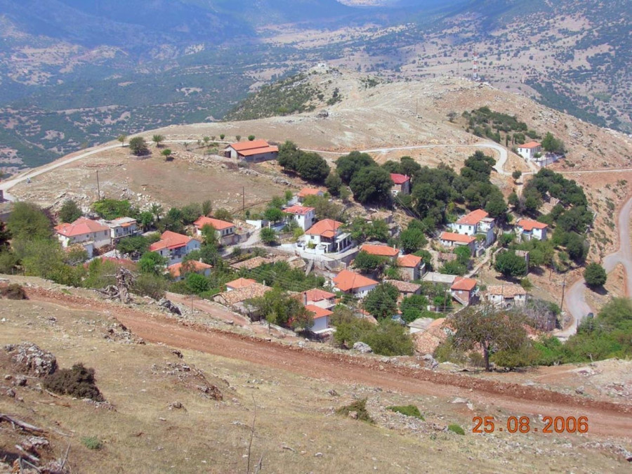 armpoynas-kalabrytwn-h-geneteira-toy-papoylakoy.jpg