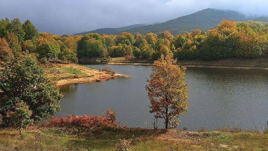 Λίμνη-Λογγά