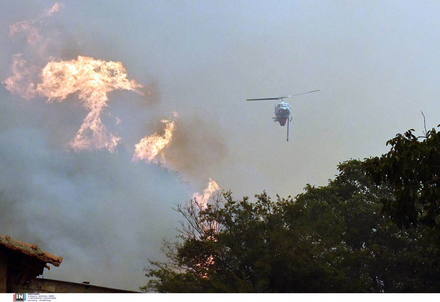 ΦΕΝΕΟΣ ΚΟΡΙΝΘΙΑΣ
